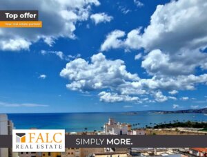 Helle Traumwohnung mit Panoramablick